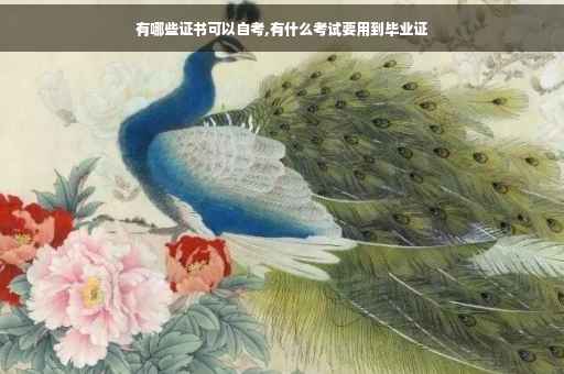 有哪些证书可以自考,有什么考试要用到毕业证