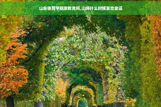 山东体育学院发教资吗,山师什么时候发毕业证