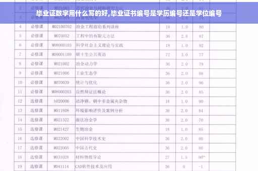 毕业证数字用什么写的好,毕业证书编号是学历编号还是学位编号