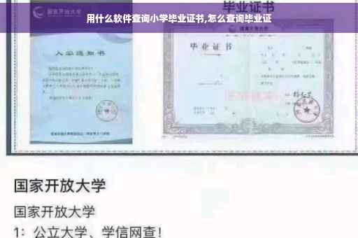用什么软件查询小学毕业证书,怎么查询毕业证