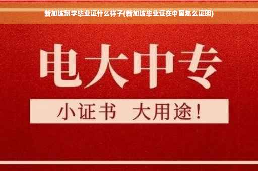 新加坡留学毕业证什么样子(新加坡毕业证在中国怎么证明)