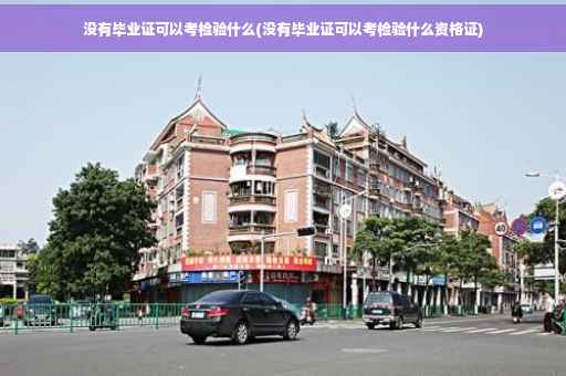 没有毕业证可以考检验什么(没有毕业证可以考检验什么资格证)
