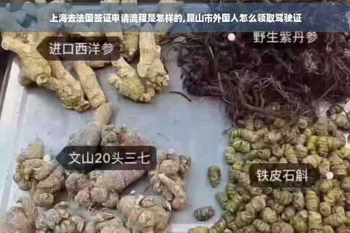 上海去法国签证申请流程是怎样的,昆山市外国人怎么领取驾驶证