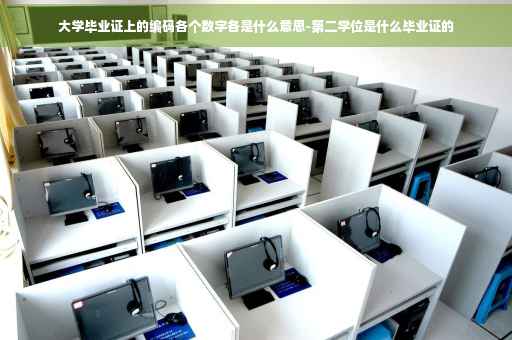 大学毕业证上的编码各个数字各是什么意思-第二学位是什么毕业证的