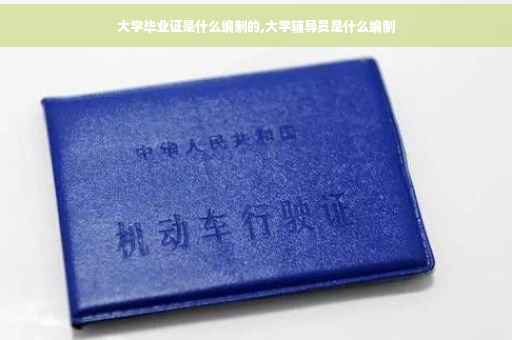 大学毕业证是什么编制的,大学辅导员是什么编制