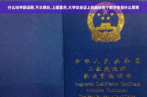 什么叫学籍证明,不太明白,上哪里开,大学毕业证上的编码各个数字各是什么意思