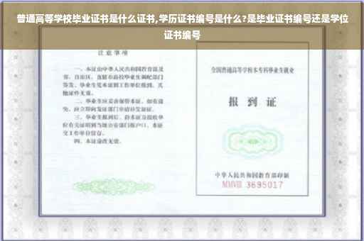 普通高等学校毕业证书是什么证书,学历证书编号是什么?是毕业证书编号还是学位证书编号