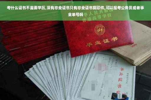 考什么证书不需要学历,没有毕业证书只有毕业证书复印件,可以报考公务员或者事业单号吗