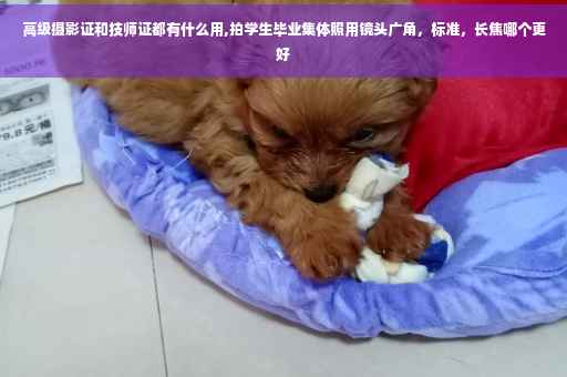 高级摄影证和技师证都有什么用,拍学生毕业集体照用镜头广角，标准，长焦哪个更好