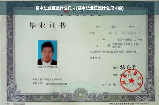 高中毕业证是什么尺寸(高中毕业证是什么尺寸的)