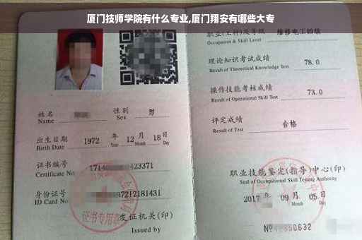 厦门技师学院有什么专业,厦门翔安有哪些大专
