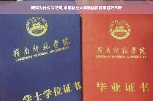 吃鸡为什么叫吃鸡,中南林业大学继续教育学院好不好