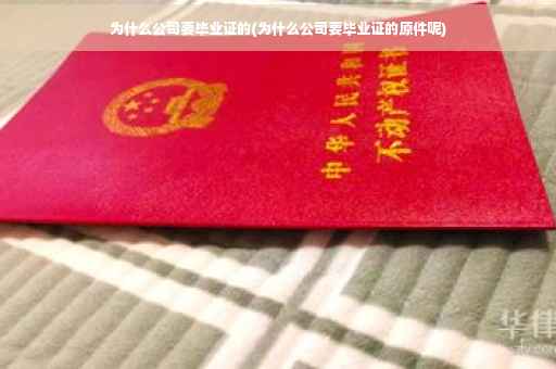 为什么公司要毕业证的(为什么公司要毕业证的原件呢)