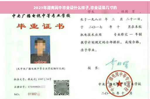 2023年湖南高中毕业证什么样子,毕业证是几寸的