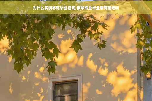 为什么买钢琴有毕业证呢,钢琴专业毕业后有前途吗