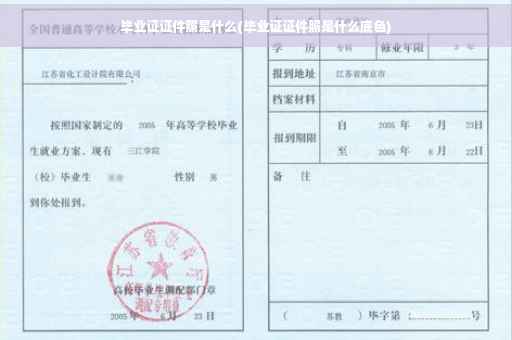 毕业证证件照是什么(毕业证证件照是什么底色)