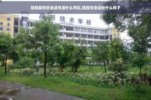 技校发的毕业证书是什么学历,技校毕业证长什么样子