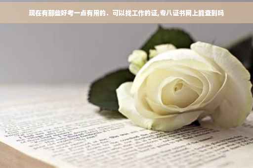 现在有那些好考一点有用的．可以找工作的证,专八证书网上能查到吗