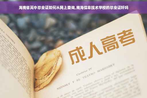 海南省高中毕业证如何从网上查询,南海信息技术学校的毕业证好吗