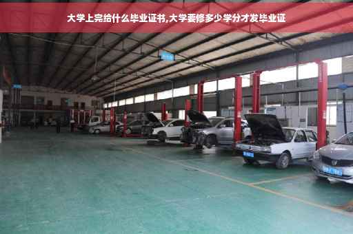 大学上完给什么毕业证书,大学要修多少学分才发毕业证