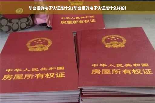 毕业证的电子认证是什么(毕业证的电子认证是什么样的)