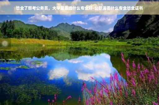 毕业了想考公务员，大学里面选什么专业好-公职需要什么专业毕业证书
