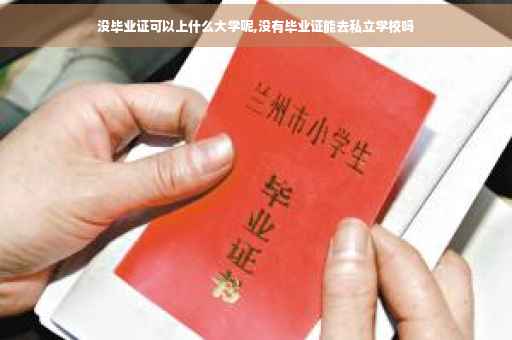 没毕业证可以上什么大学呢,没有毕业证能去私立学校吗