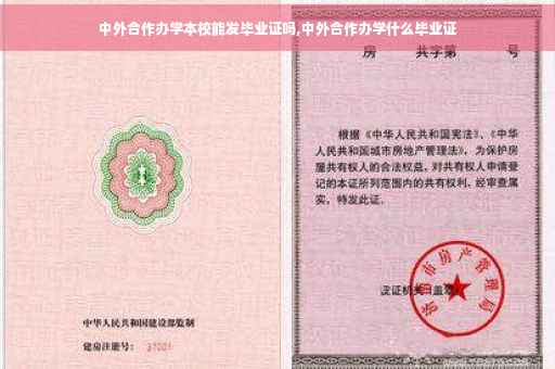 中外合作办学本校能发毕业证吗,中外合作办学什么毕业证