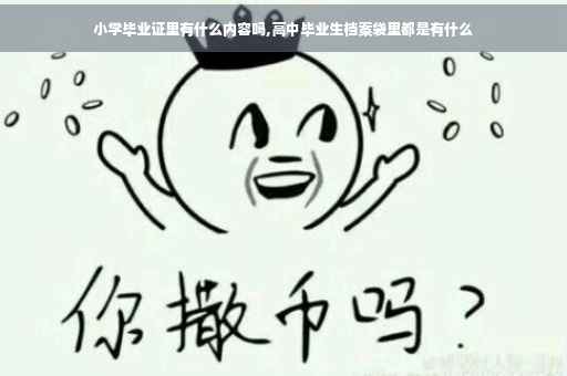 小学毕业证里有什么内容吗,高中毕业生档案袋里都是有什么