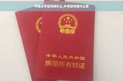 学业水平证号填什么,中考证书有什么用