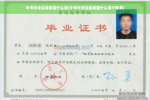 中专毕业证需要盖什么章(中专毕业证需要盖什么章才能拿)
