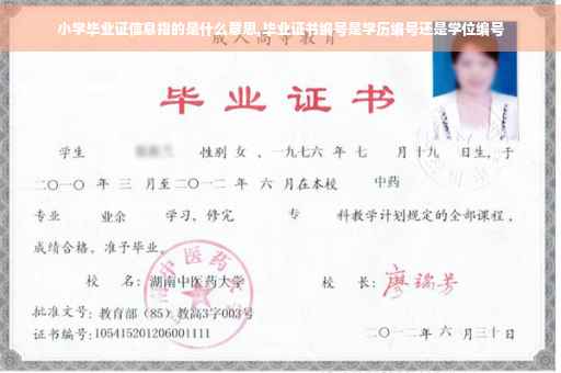 小学毕业证信息指的是什么意思,毕业证书编号是学历编号还是学位编号