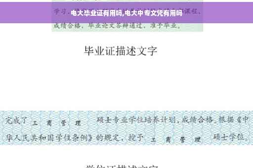 电大毕业证有用吗,电大中专文凭有用吗