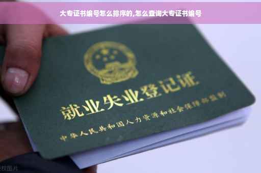 大专证书编号怎么排序的,怎么查询大专证书编号