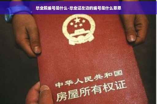 毕业照编号是什么-毕业证左边的编号是什么意思