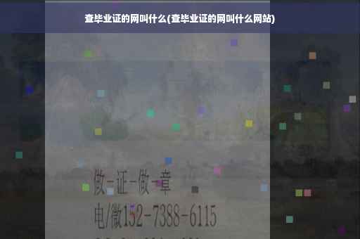 查毕业证的网叫什么(查毕业证的网叫什么网站)