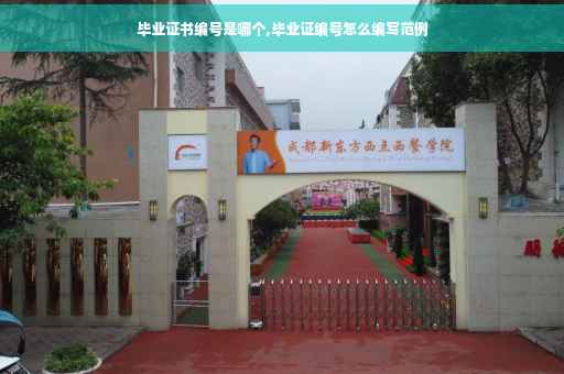 毕业证书编号是哪个,毕业证编号怎么编写范例