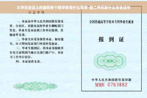 大学毕业证上的编码各个数字各是什么意思-第二学历发什么毕业证书