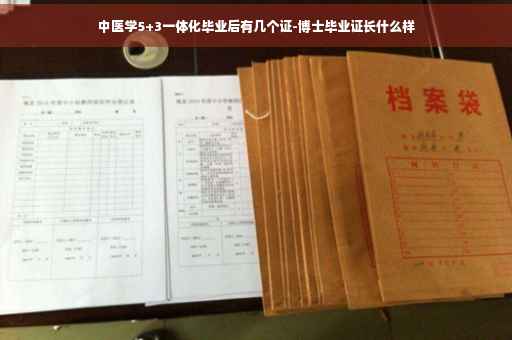 中医学5+3一体化毕业后有几个证-博士毕业证长什么样