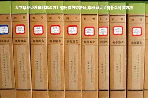 大学毕业证没拿到怎么办？有补救的办法吗,毕业证丢了有什么补救方法