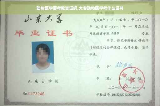 动物医学要考教资证吗,大专动物医学考什么证书