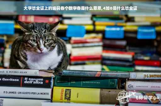 大学毕业证上的编码各个数字各是什么意思,4加0是什么毕业证