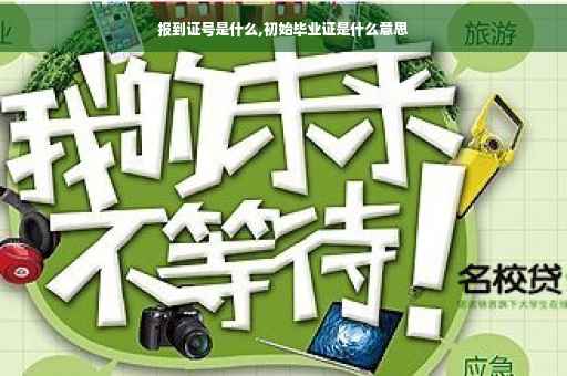 报到证号是什么,初始毕业证是什么意思