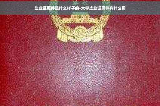 毕业证原件是什么样子的-大学毕业证原件有什么用