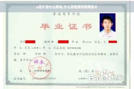 x底片是什么颜色,什么是阳图和阴图底片