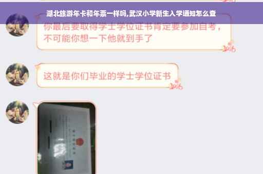湖北旅游年卡和年票一样吗,武汉小学新生入学通知怎么查