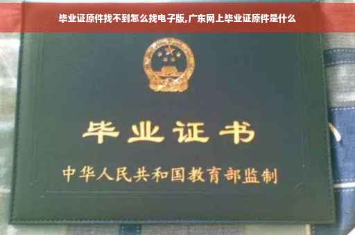 毕业证原件找不到怎么找电子版,广东网上毕业证原件是什么