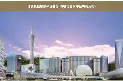 计算机信息水平证书(计算机信息水平证书有用吗)