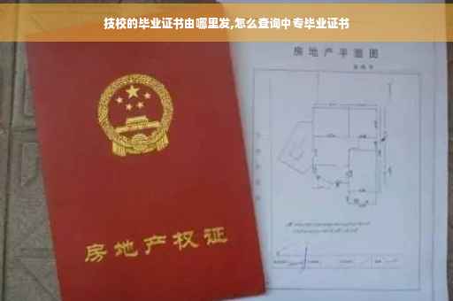 技校的毕业证书由哪里发,怎么查询中专毕业证书