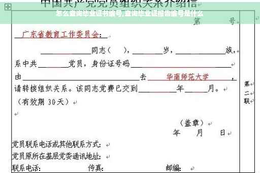 怎么查询毕业证书编号,查询毕业证报告编号是什么